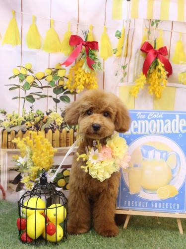 20240430コロくん